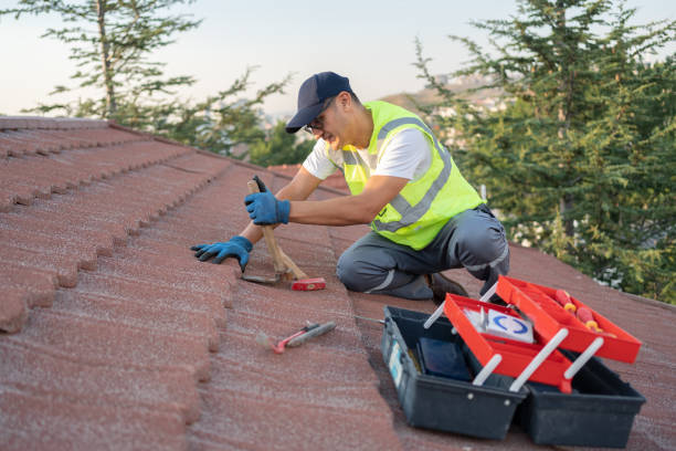 Best Roof Gutter Cleaning  in Third Lake, IL