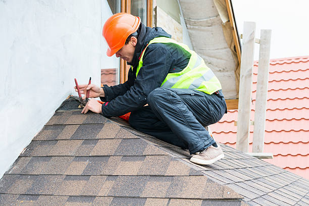 Best Roof Repair Services  in Third Lake, IL